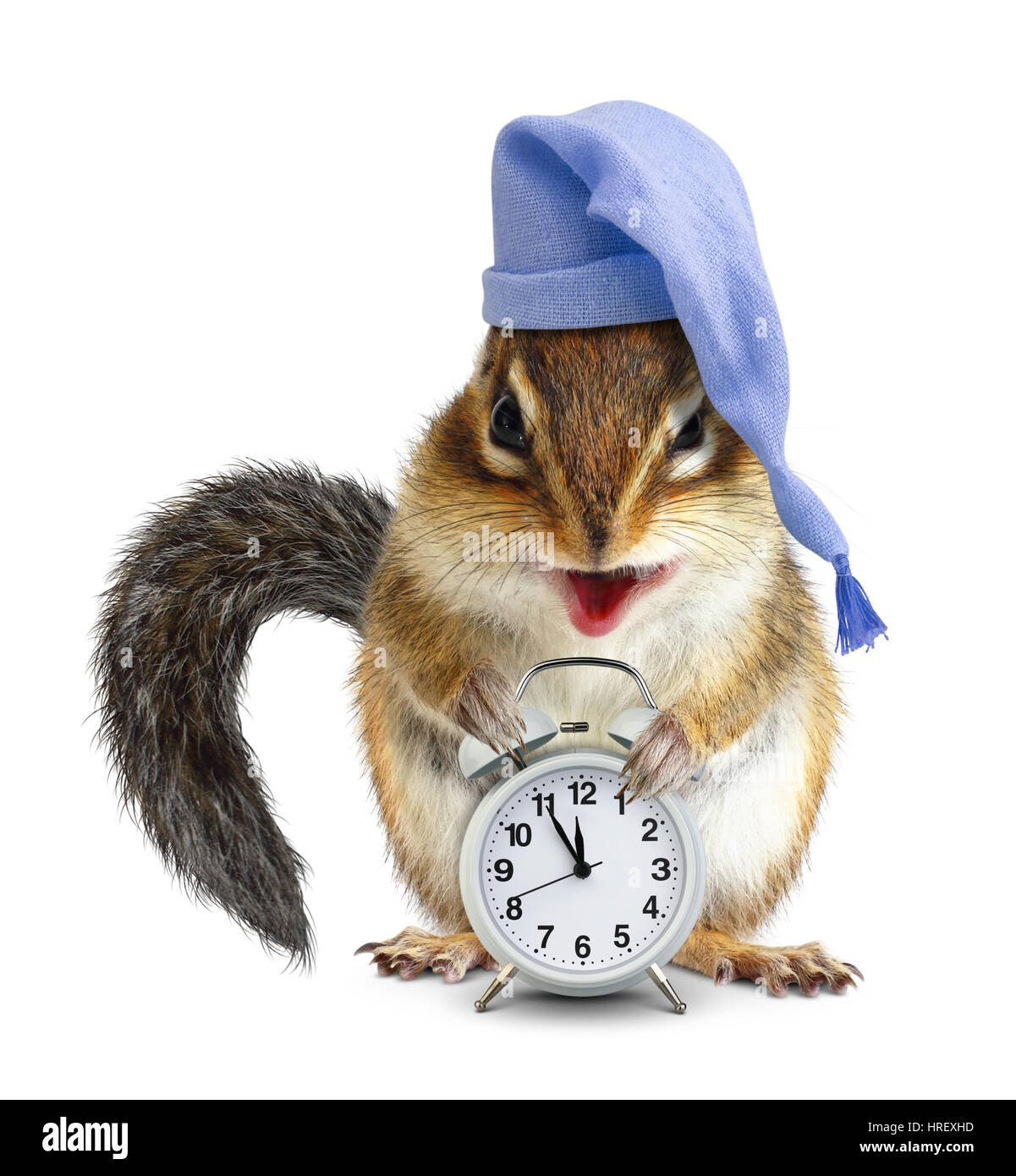 laughable animal chipmunk with clock and sleeping cap Stock Photo