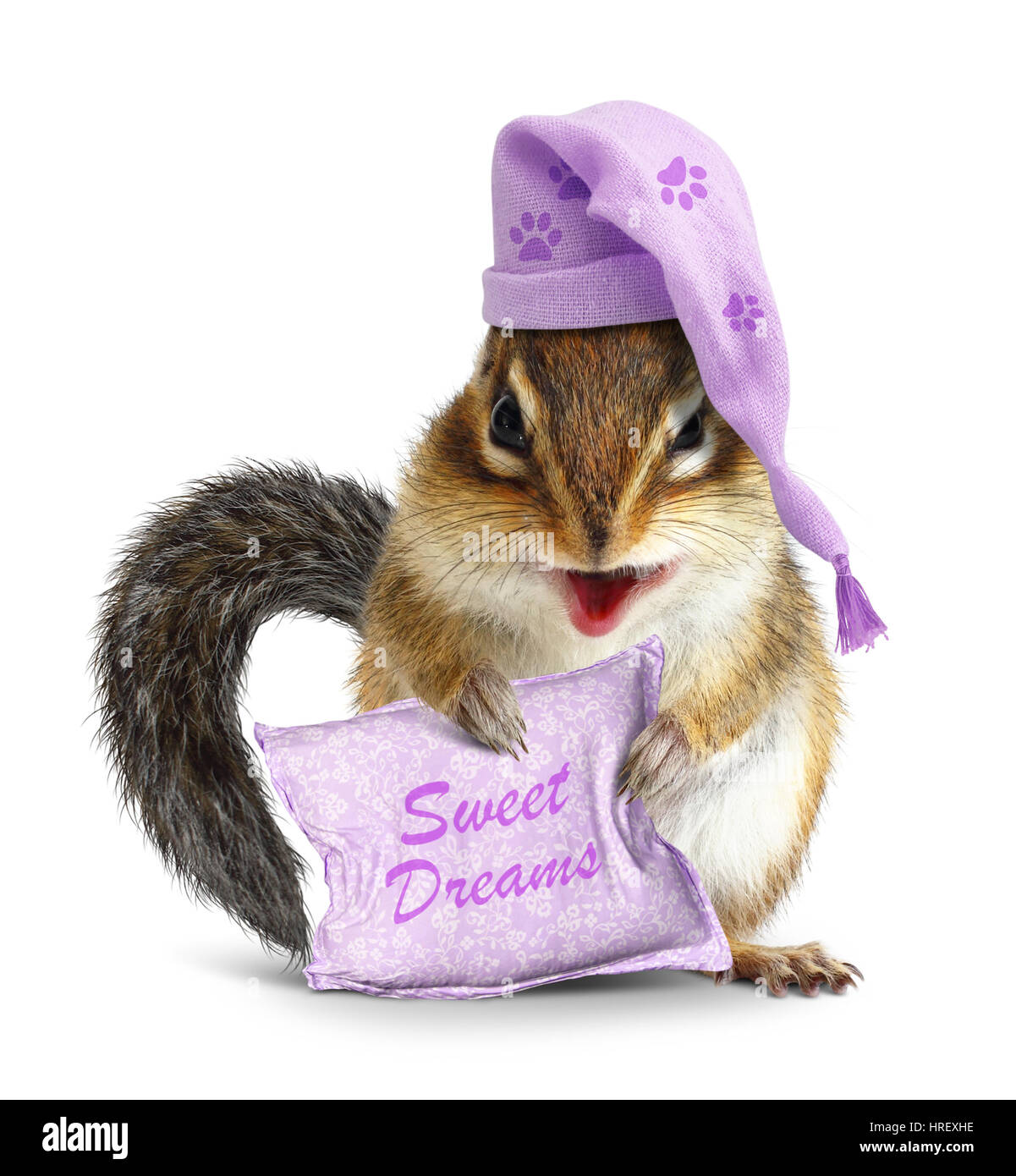 Sweet dreams concept, funny animal chipmunk with pillow and sleeping cap Stock Photo