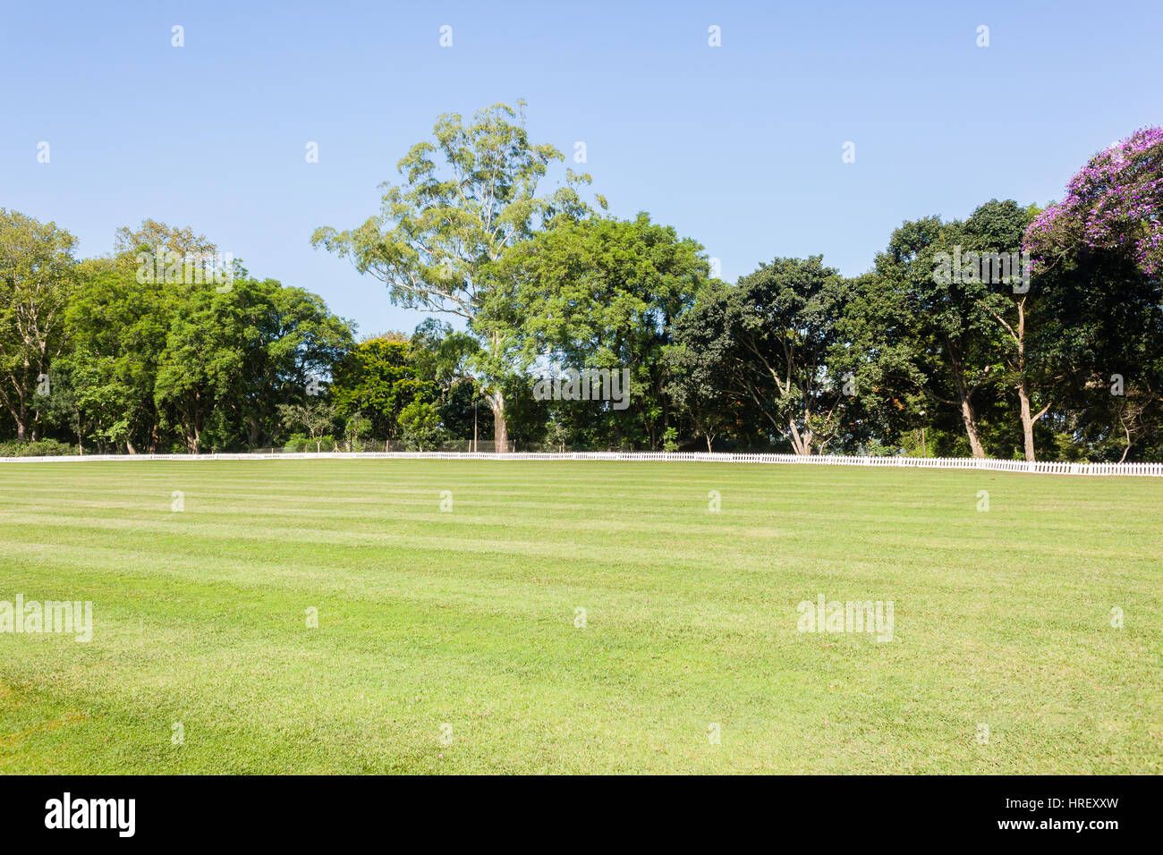 Cricket outfield boundary grounds summer sport. Stock Photo