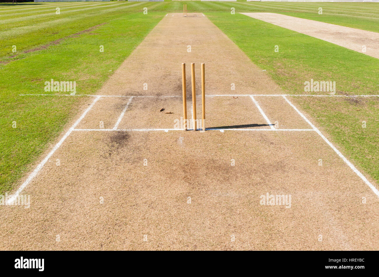 Cricket pitch's wickets markings grounds summer sport Stock Photo Alamy