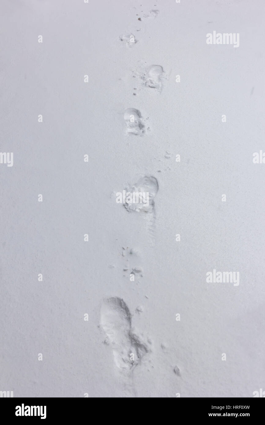 Human traces on snow Stock Photo - Alamy