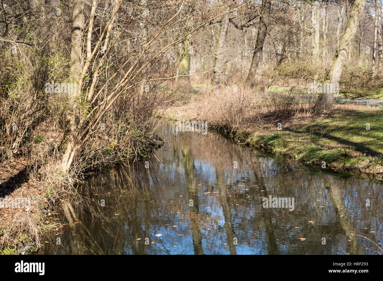Lake and trees in the Tiergarten park, Berlin, Germany Stock Photo
