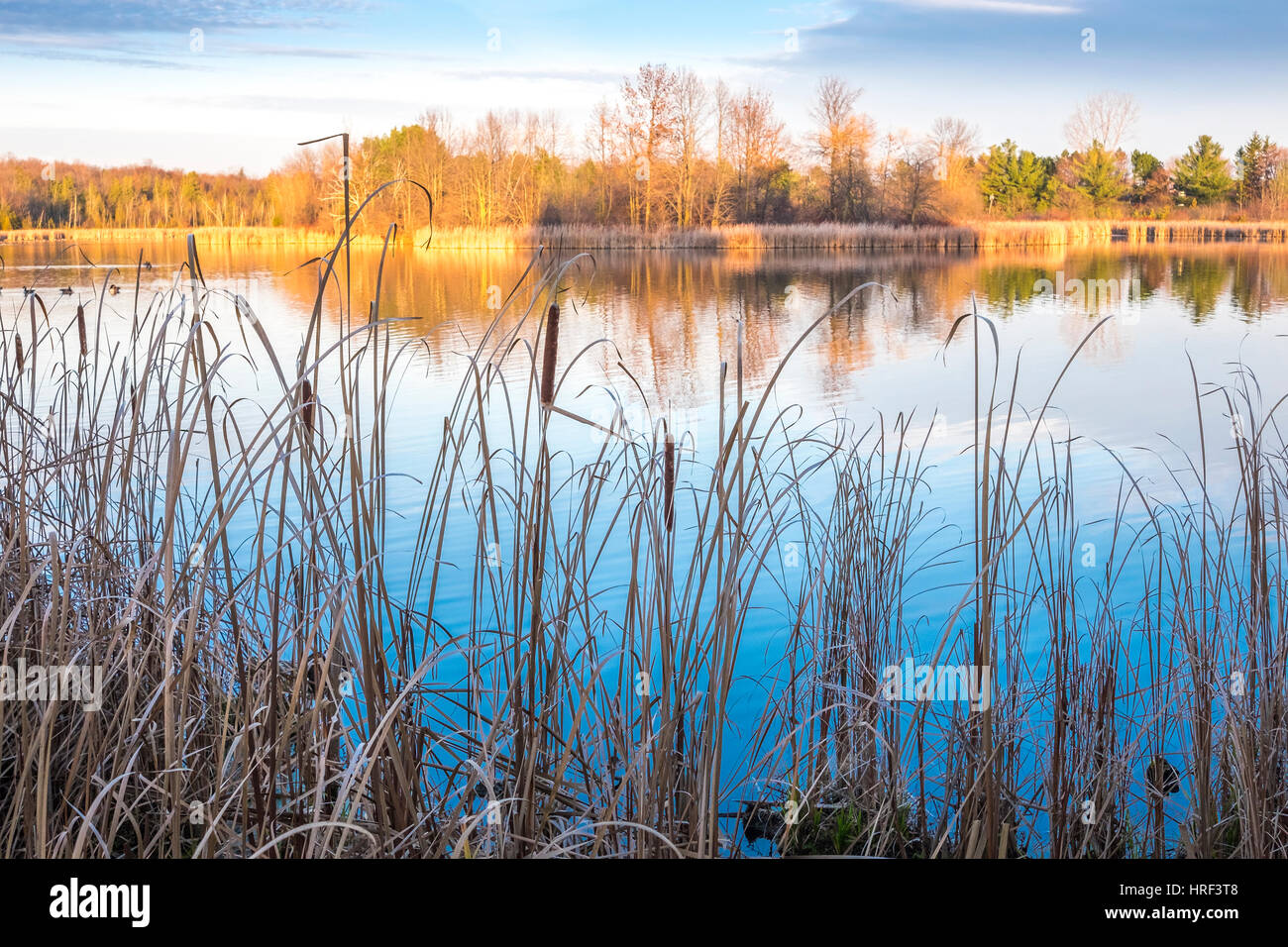 Stouffville ontario canada hires stock photography and images Alamy