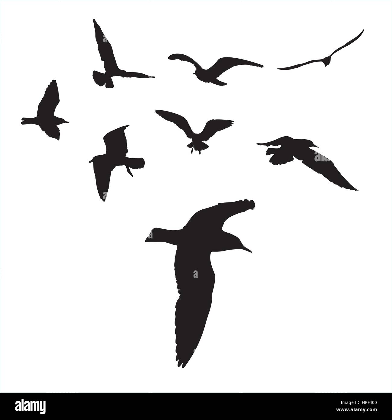 Vector set - seagull silhouette on white background collection Stock Vector