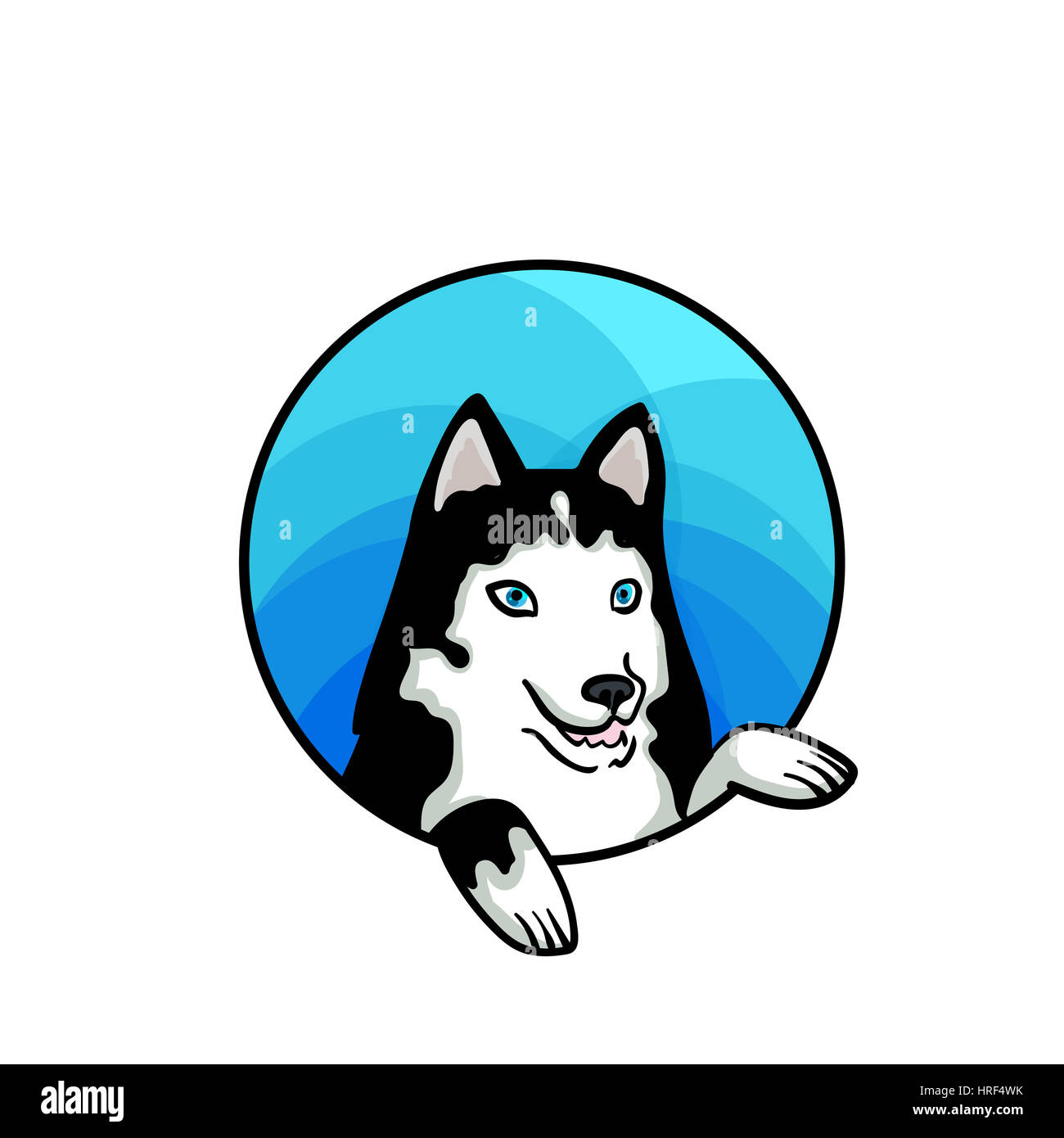 Husky dog cheap shop
