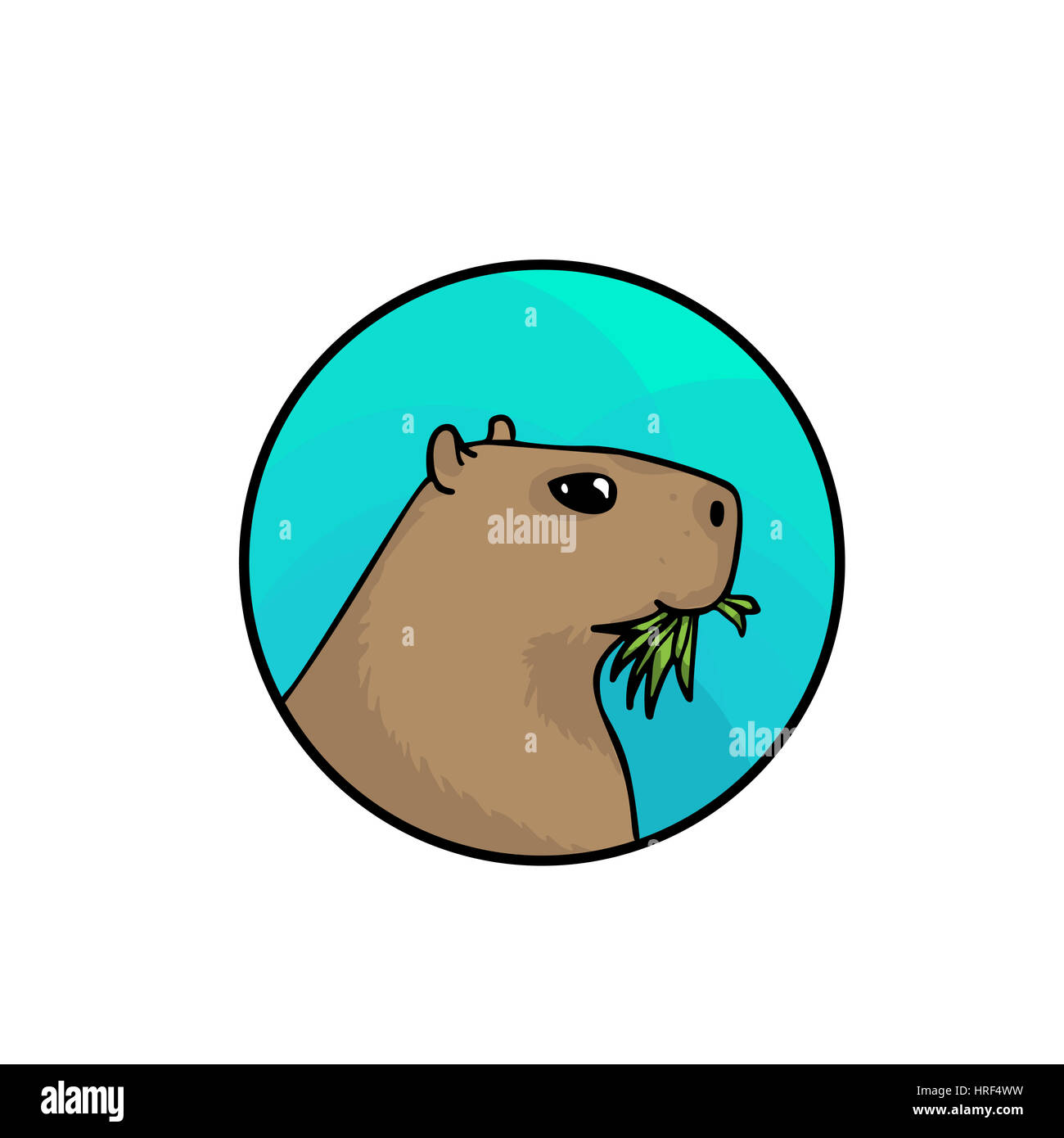 Capybara, the largest rodent in the world. Animal art, cute cartoon style, hand drawn illustration. Suitable for pet shop or zoo ads, label design or  Stock Photo