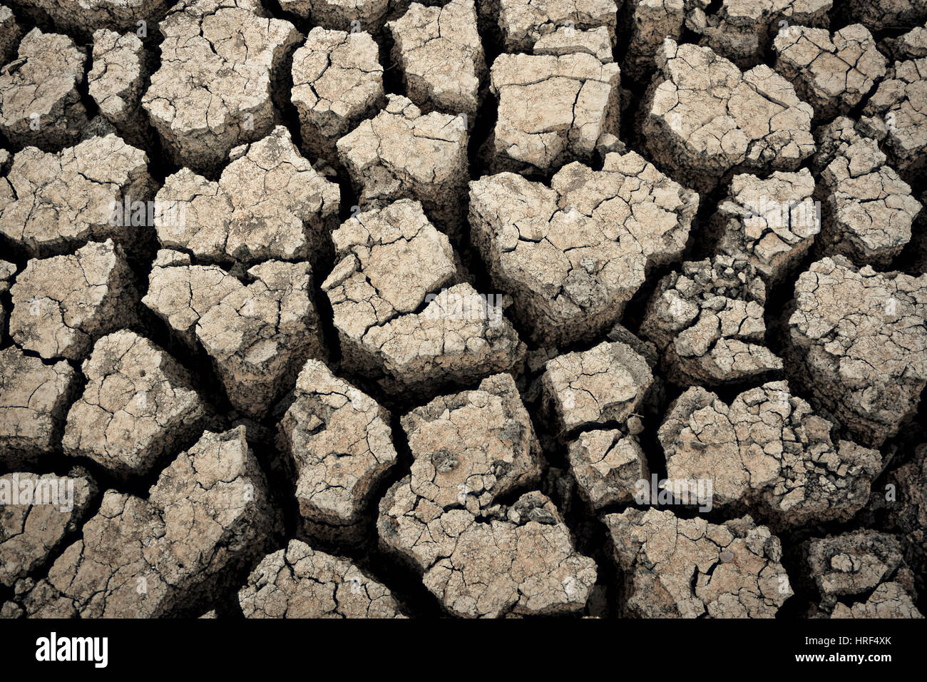 Drought cracked dry land Stock Photo Alamy