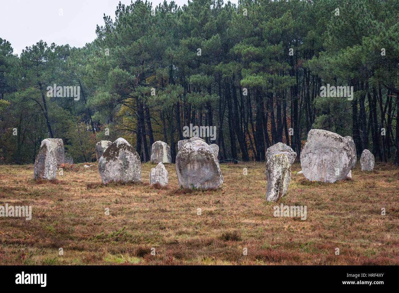 The Carnac stones (Alignements de Carnac) are an exceptionally dense collection of megalithic sites around the village of Carnac in Brittany.  The sto Stock Photo