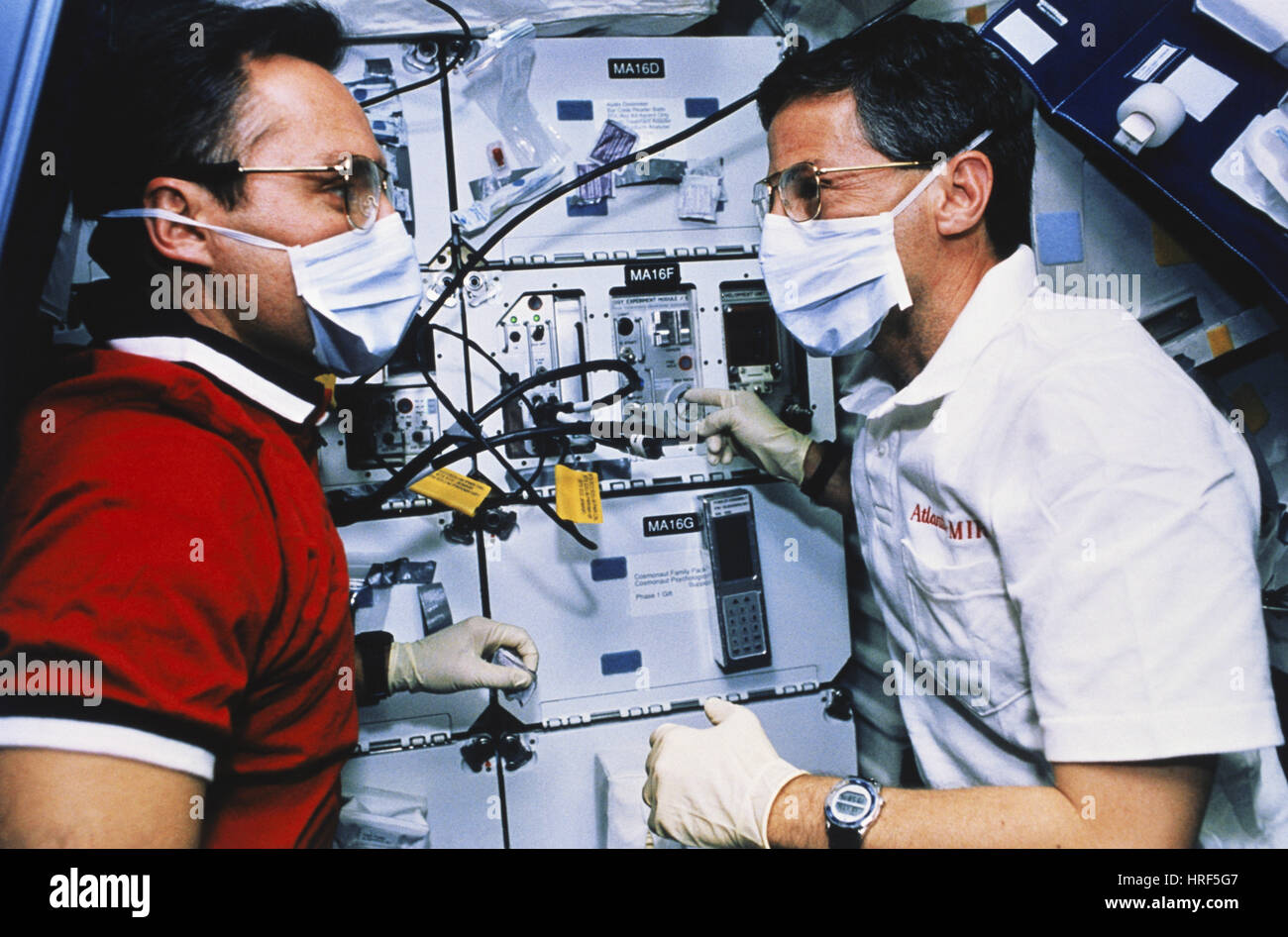 STS-79, Cartilage in Space Experiment, 1996 Stock Photo