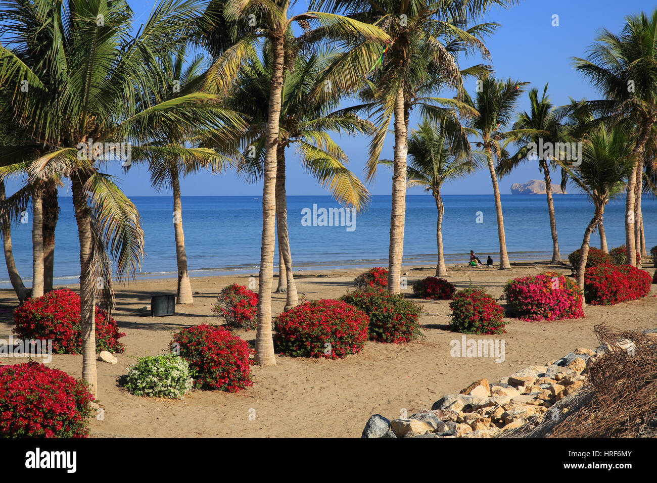 Shatti Al Qurum beach, in Muscat, capital of Oman Stock Photo 134944235 Alamy