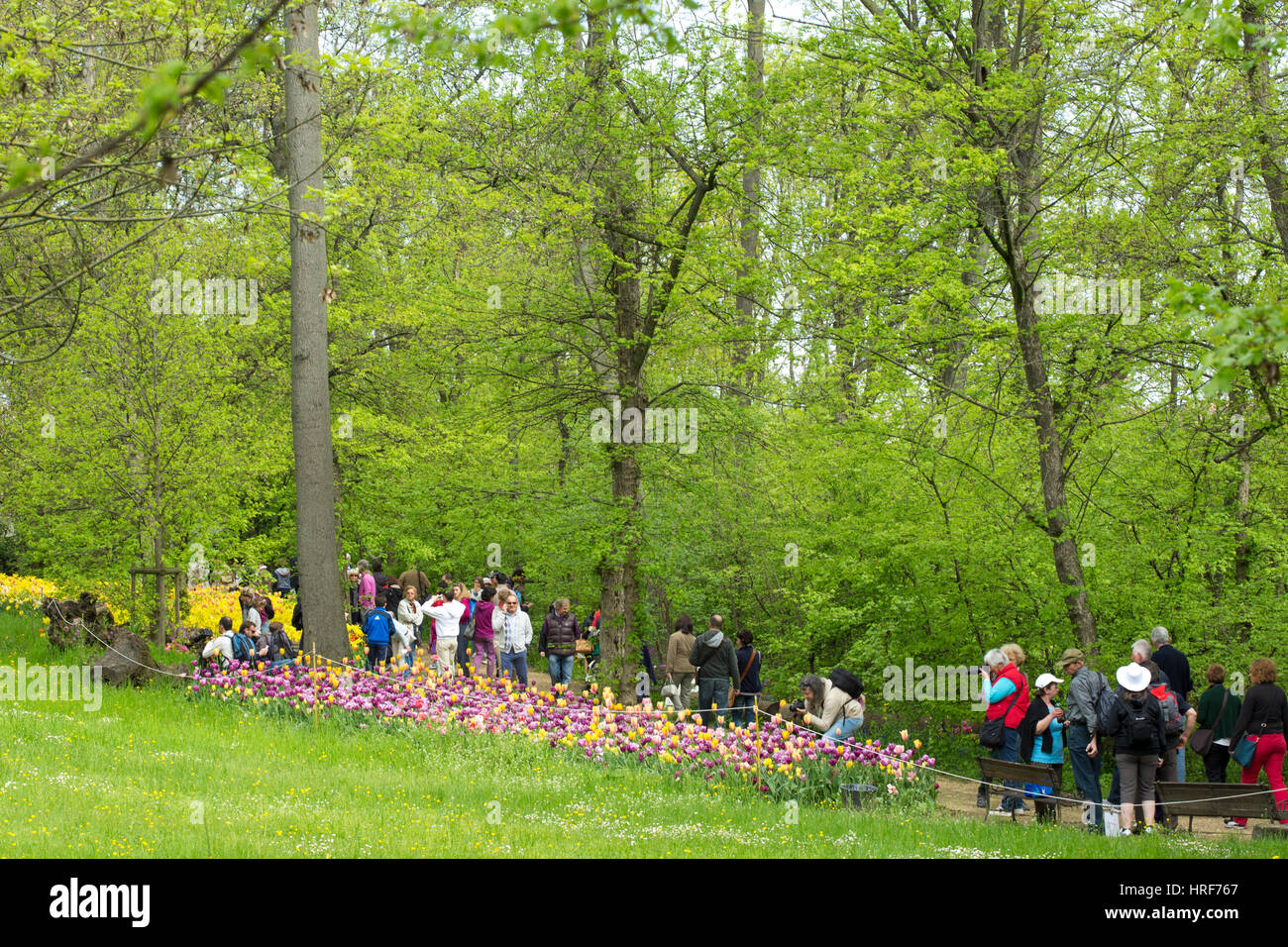 Tourists visit the tulips garden at Pralormo castle, Torino, Piedmont, Italy Stock Photo
