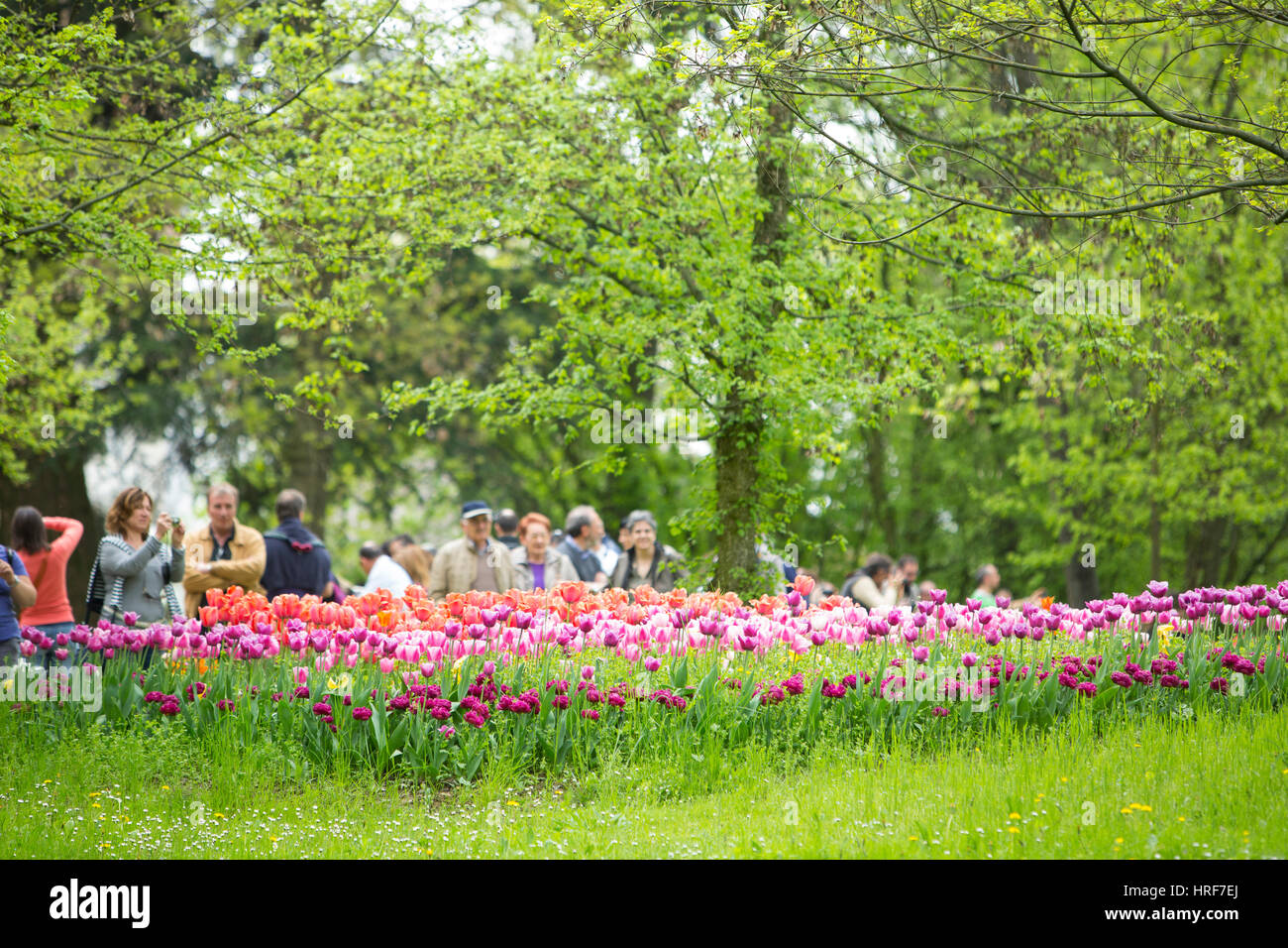 Tourists visit the tulips garden at Pralormo castle, Torino, Piedmont, Italy Stock Photo