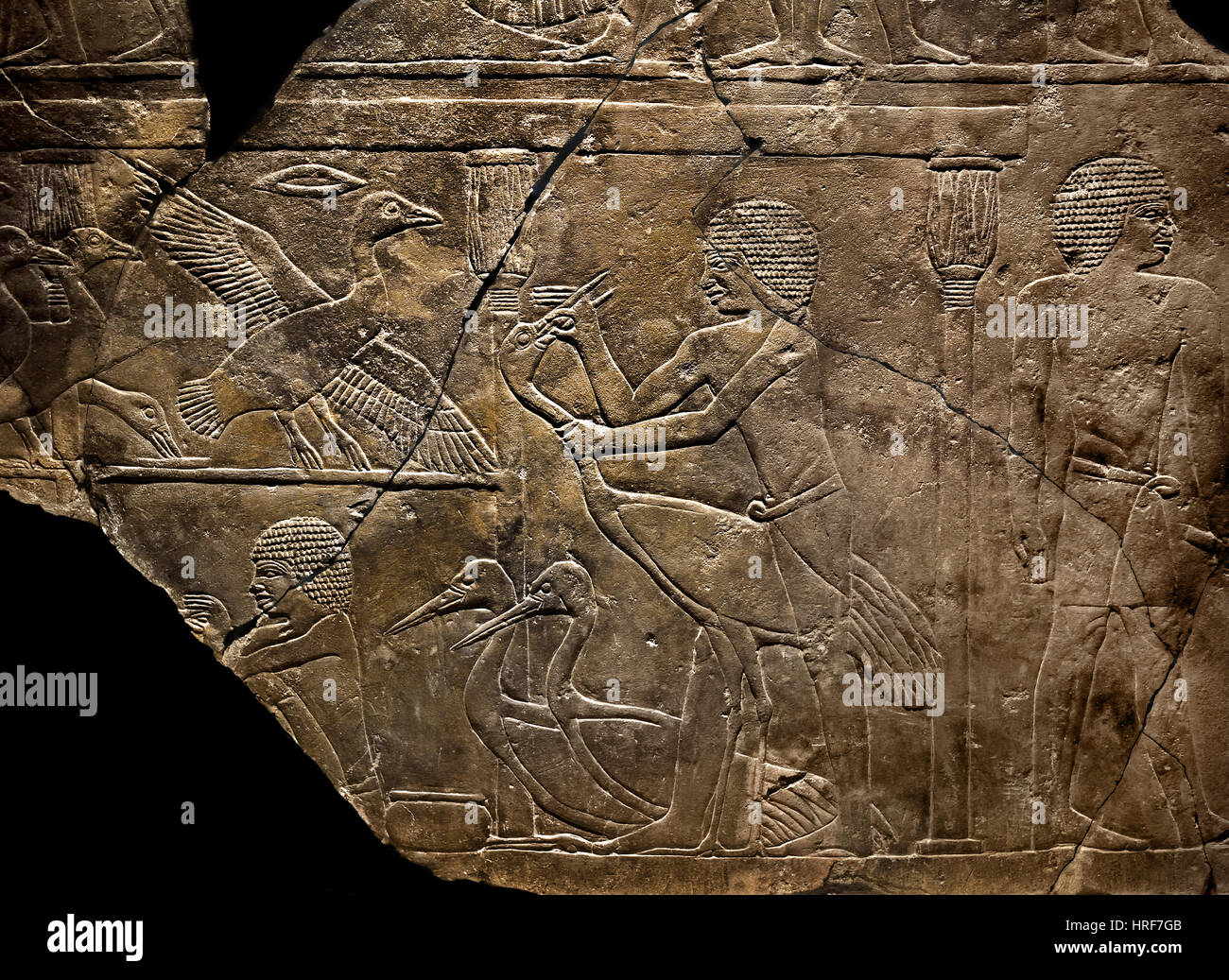 Tomb relief feeding of cranes Old Kingdom 5th Dynasty 2500-2350 BC Saqqara Egypt Egyptian Stock Photo