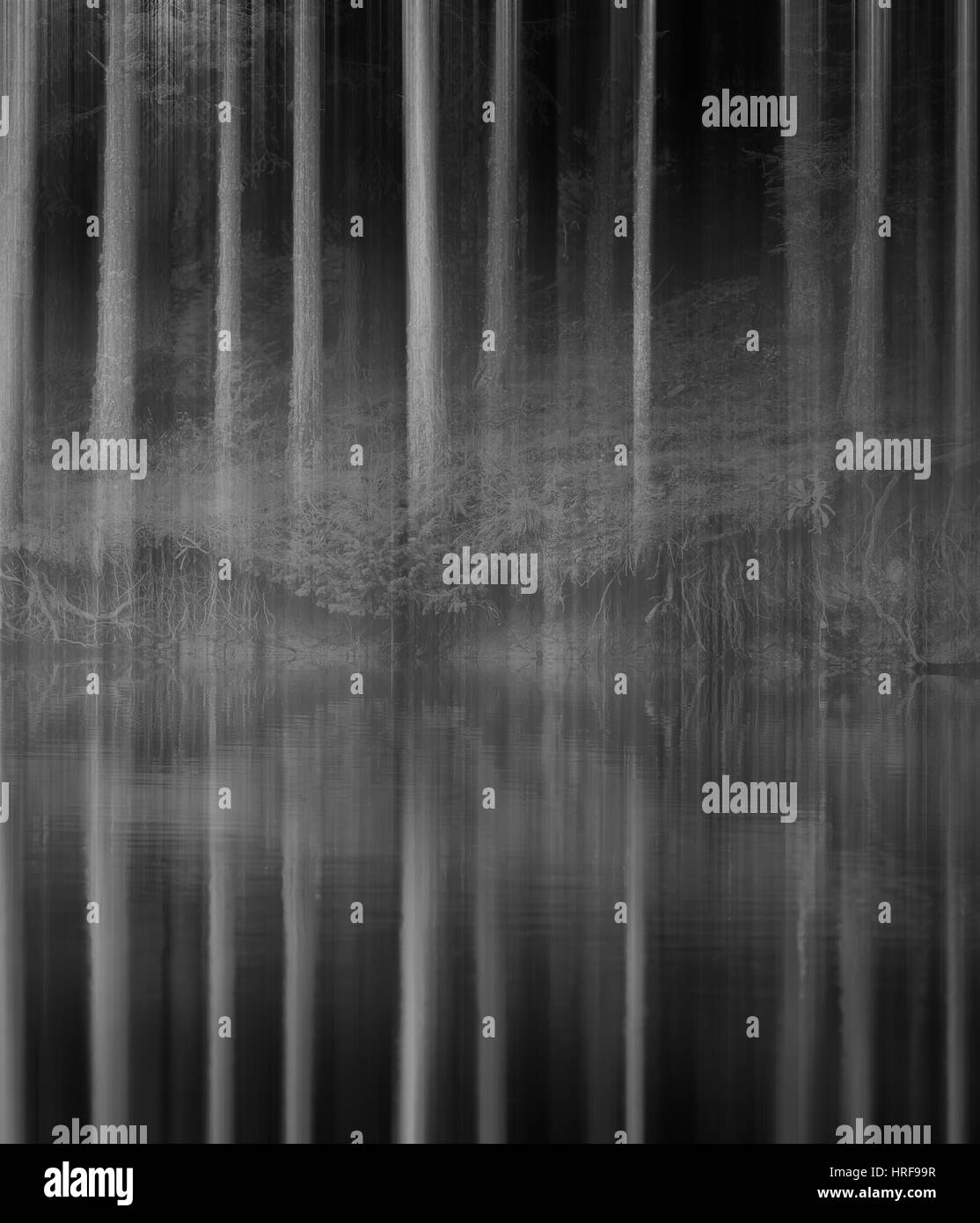 Blurred spooky woods near lake in black and white Stock Photo - Alamy