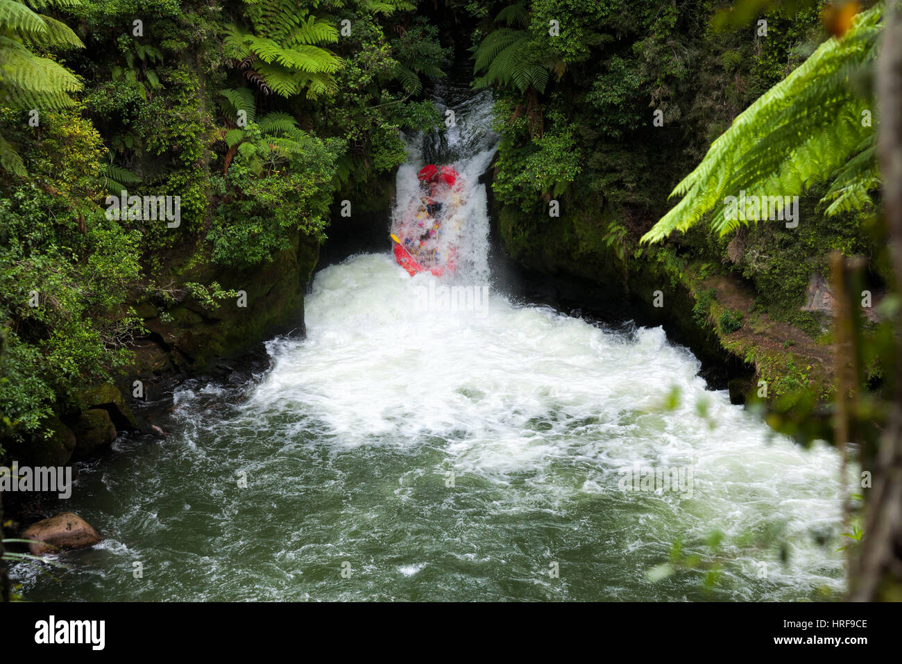 A whitewater fafters running rapid on the Kaituna River in New Zealand Stock Photo