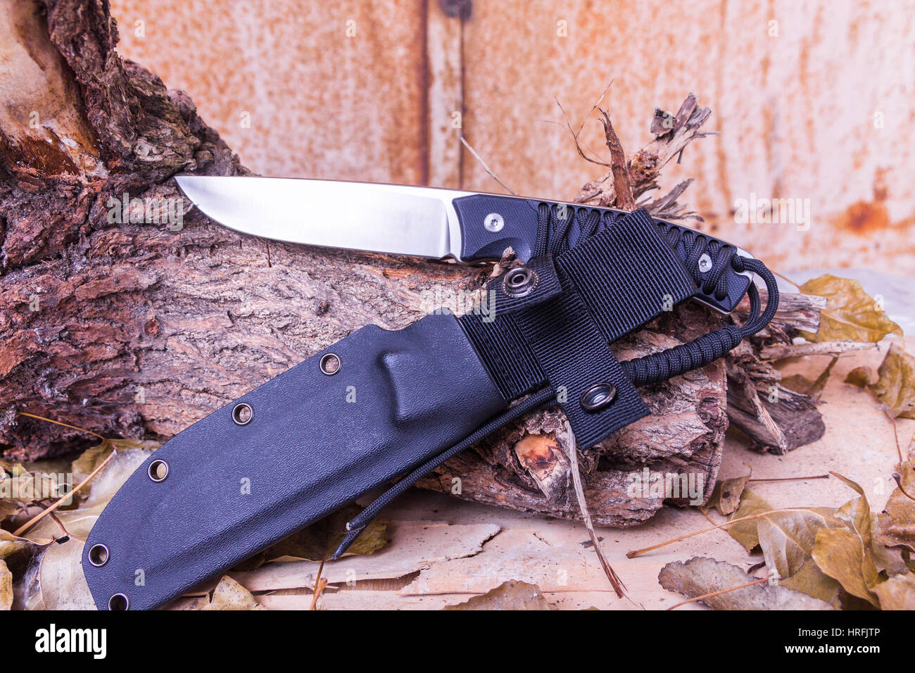 Hunter knife on stumps. Knife with case Stock Photo Alamy
