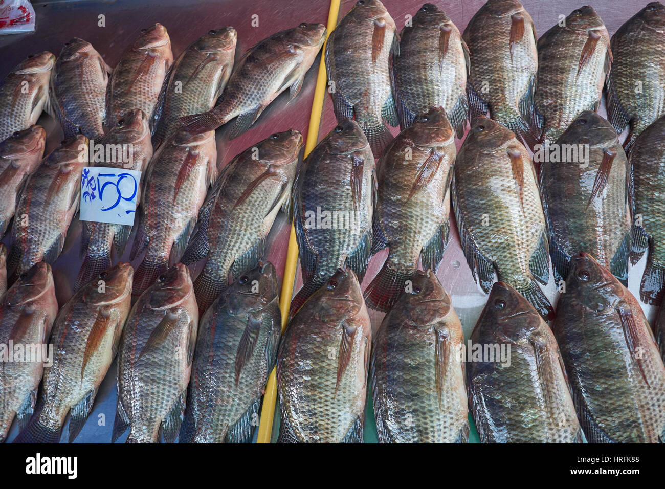 Fresh whole fish in a Thailand market Stock Photo