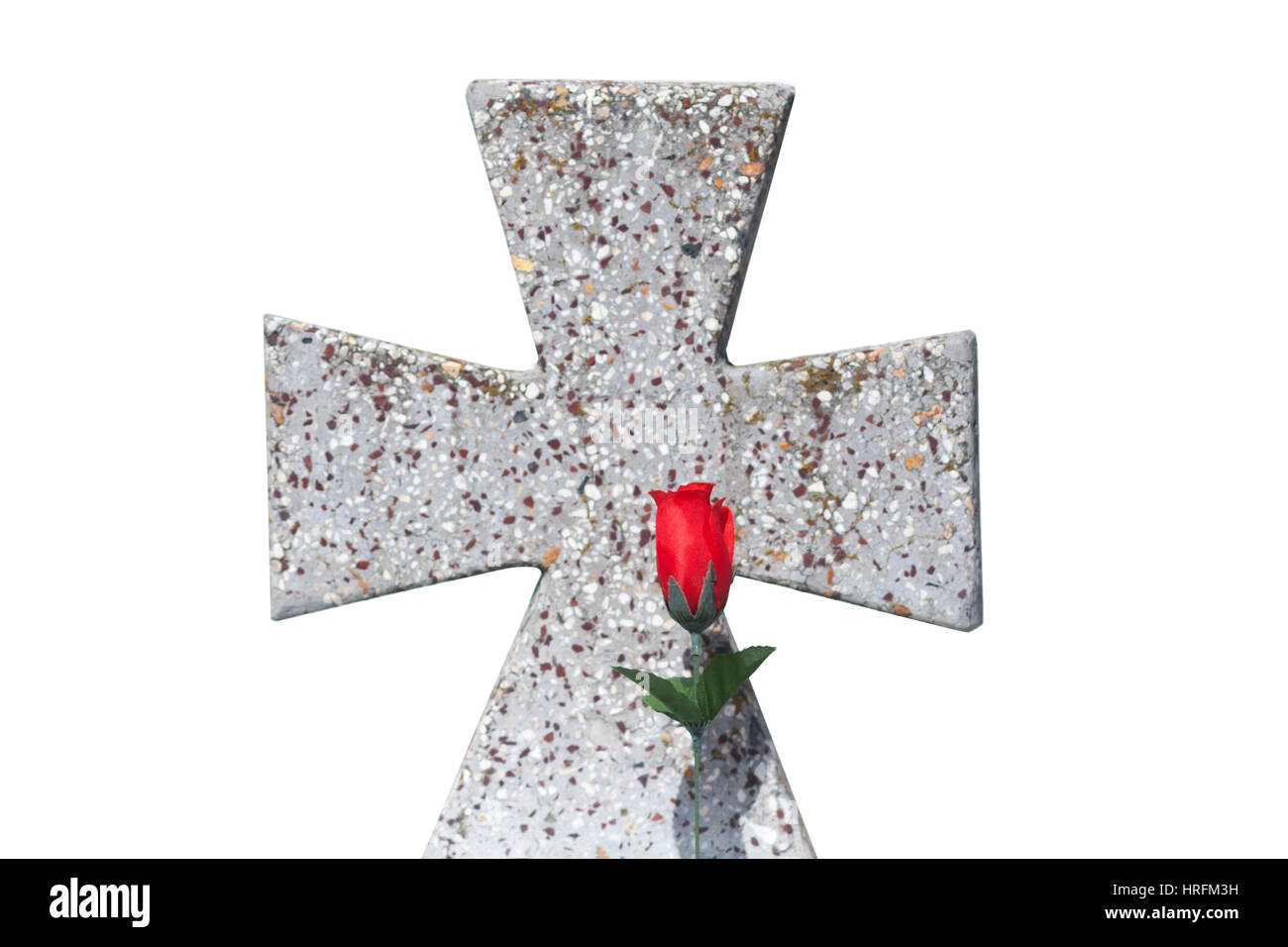Rose and cross in Punta Arenas municipal cemetery, Chile. Cut out on white background. Stock Photo