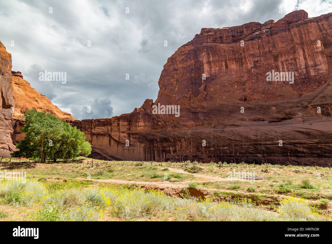 The Canyon de Chelly National Monument consists of many well-preserved Anasazi ruins and spectacular sheer red cliffs that rise up to 1000 feet. Stock Photo