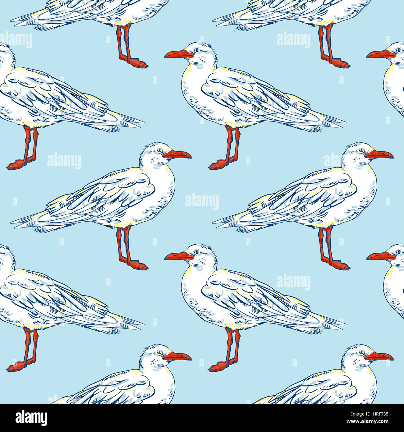 seamless pattern with Gull flight bird and seabird gull. Hand-drawn ...