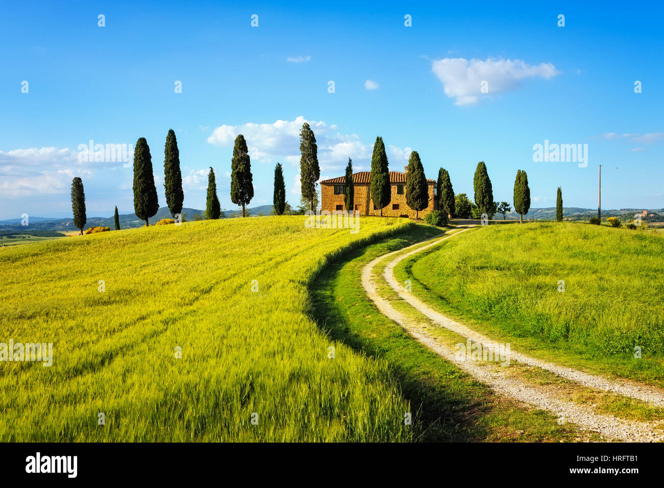Tuscany, farmland and cypress trees and white road, country landscape on sunset. Siena, Italy, Europe. Stock Photo
