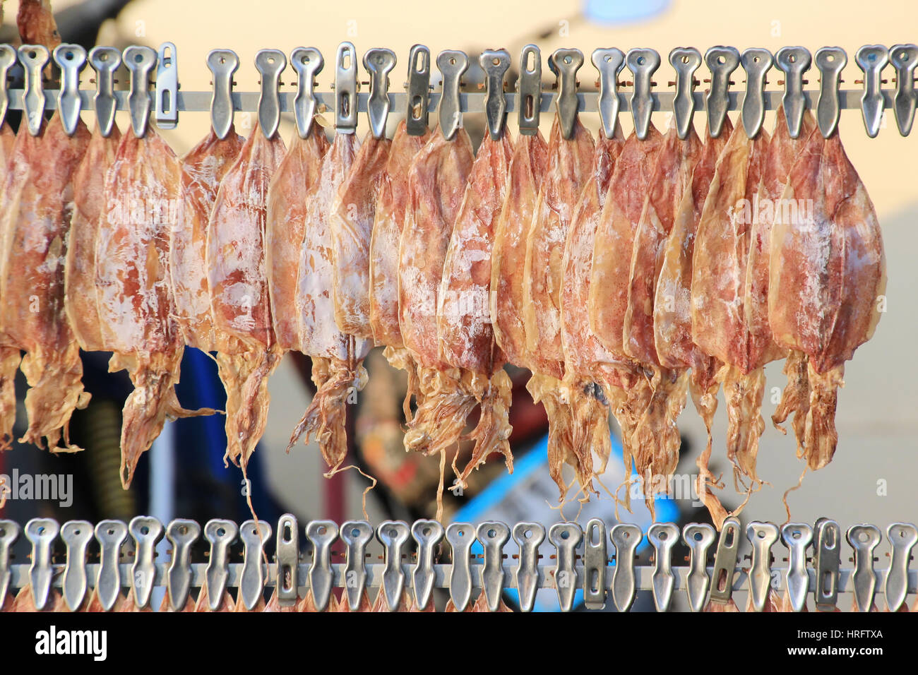Thai Dried Salted Cuttlefish in the Food Market in Thailand Stock Photo