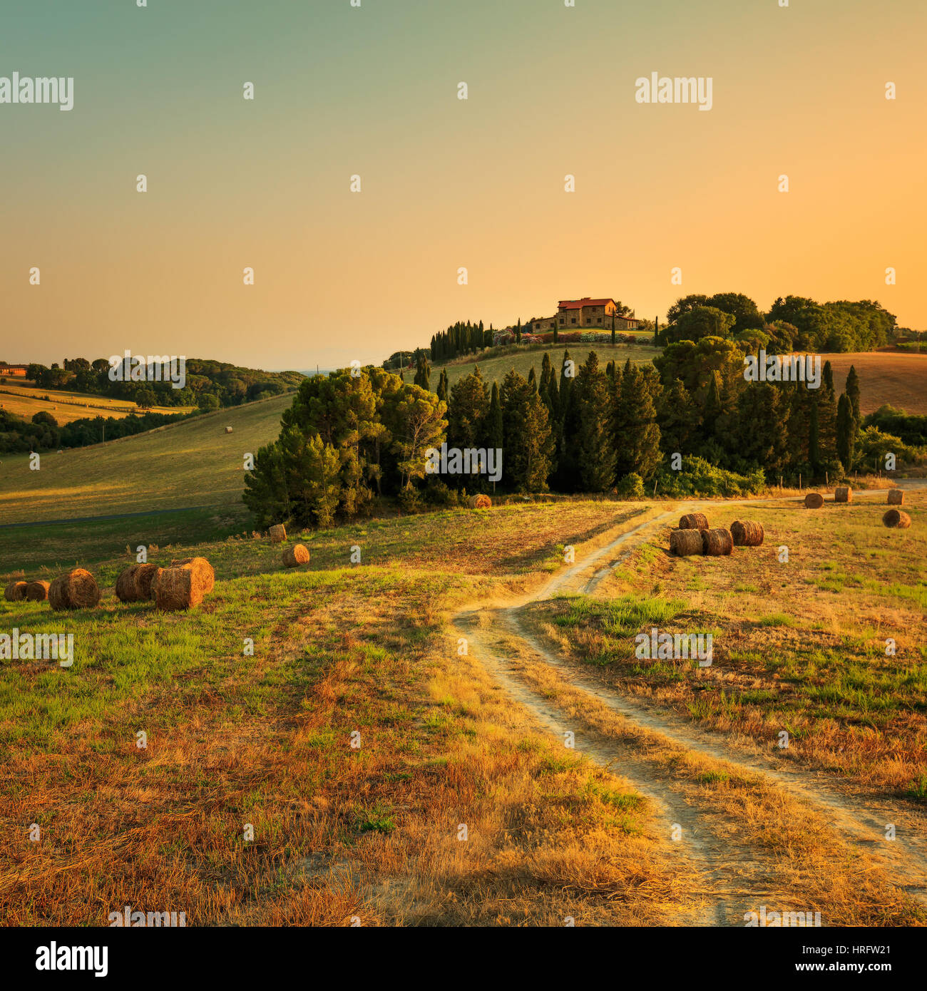 Tuscany, farmland and cypress trees and white road, country landscape on sunset. Siena, Italy, Europe. Stock Photo