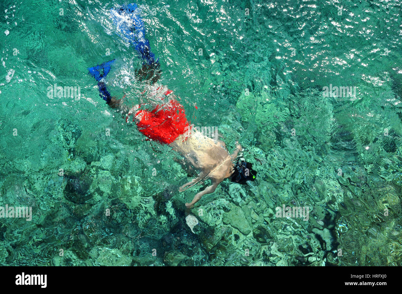 Above view of man snorkeling in the sea Stock Photo - Alamy