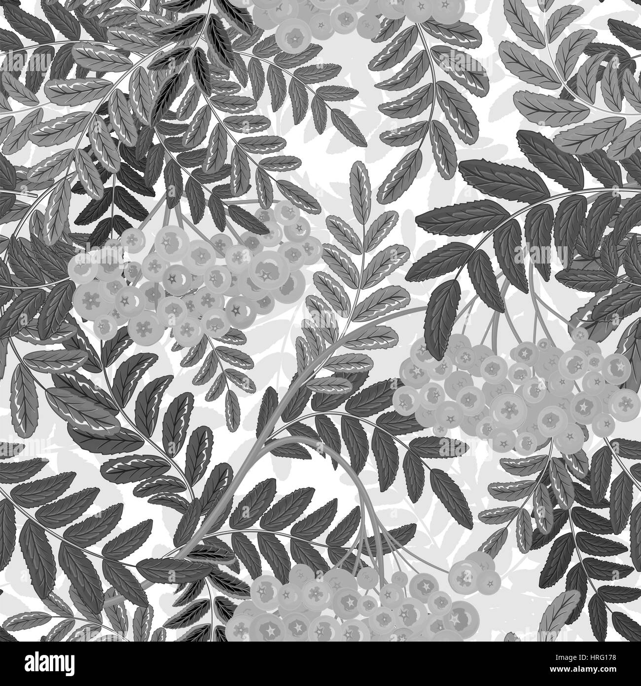Seamless pattern with leaves and ash-berry rowanberry. Vector ...