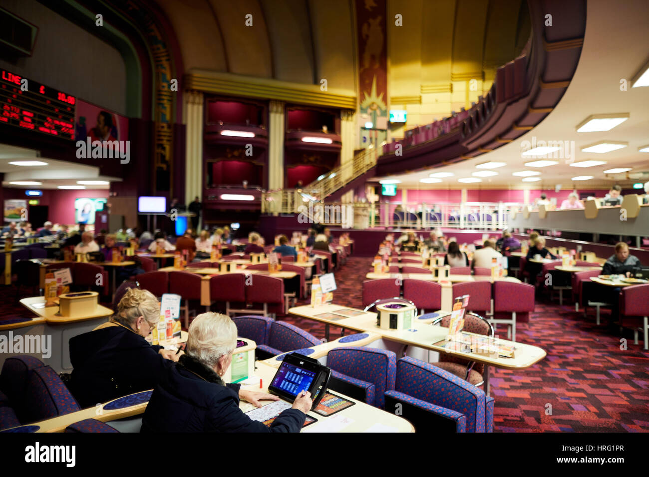 Mecca Bingo Norwich Session Times and Prices verloop.io