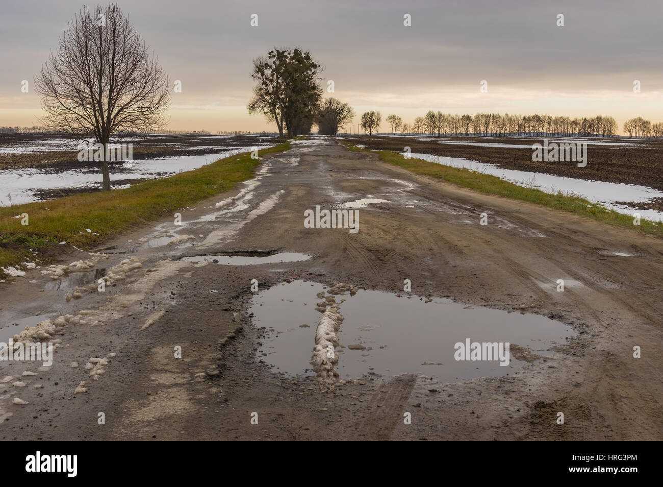 Landscape with remote empty road at late autumn in central Ukraine Stock Photo