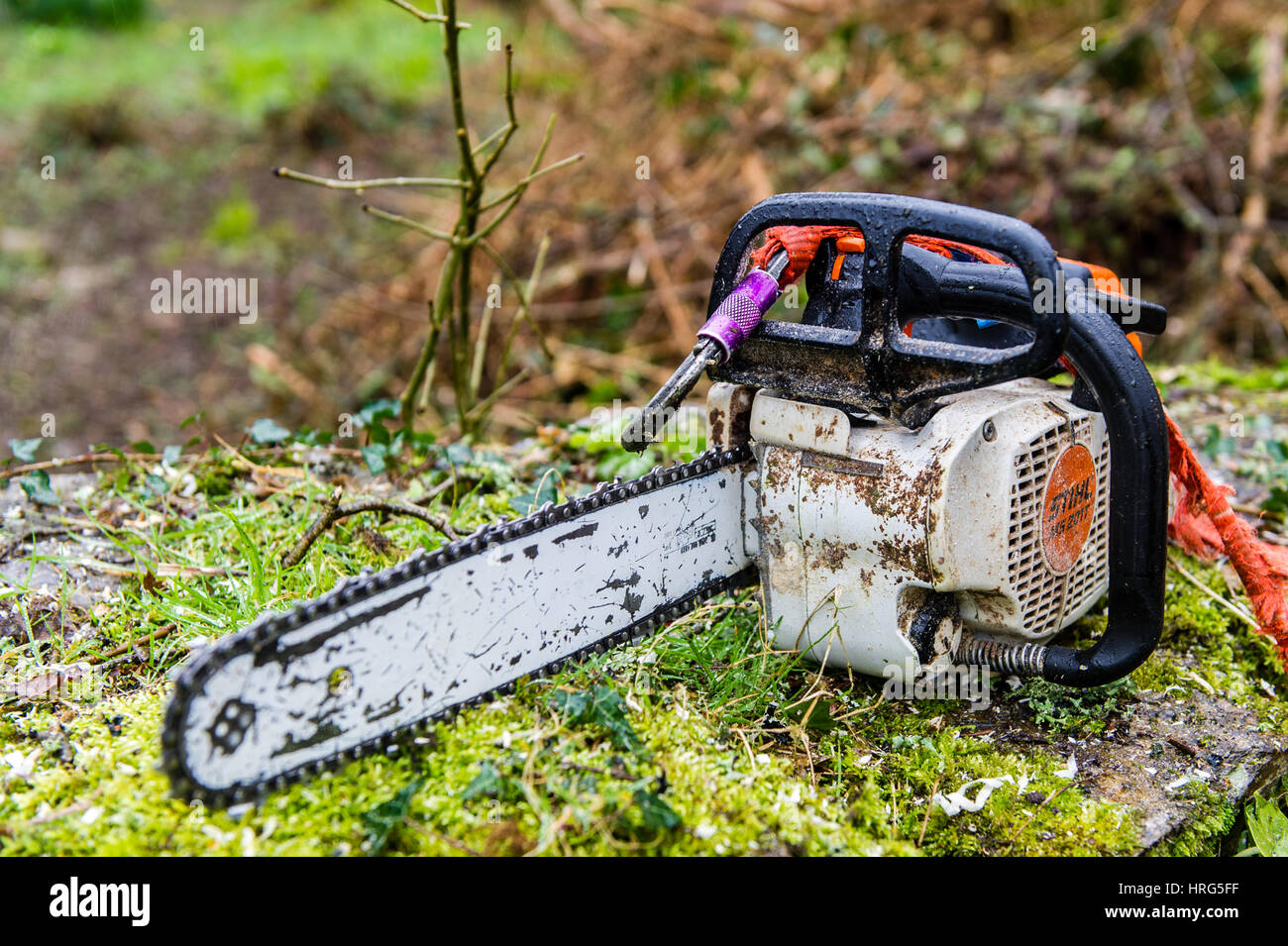 A Stihl chainsaw sits on a wall ready for use. Stock Photo