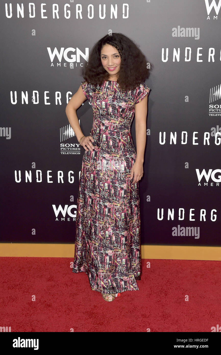 Westwood, California. 28th Feb, 2017. Jasika Nicole attends WGN America's 'Underground' Season Two Premiere Screening at Regency Village Theatre on February 28, 2017 in Westwood, California. | Verwendung weltweit/picture alliance Credit: dpa/Alamy Live News Stock Photo