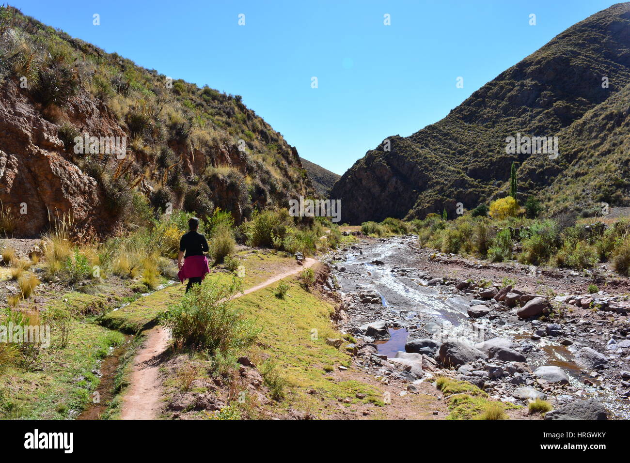 Backpacker woman hiking in the beautiful landscape of the Andes Mountain Range in the region of Macha, Potosí, Bolivia Stock Photo