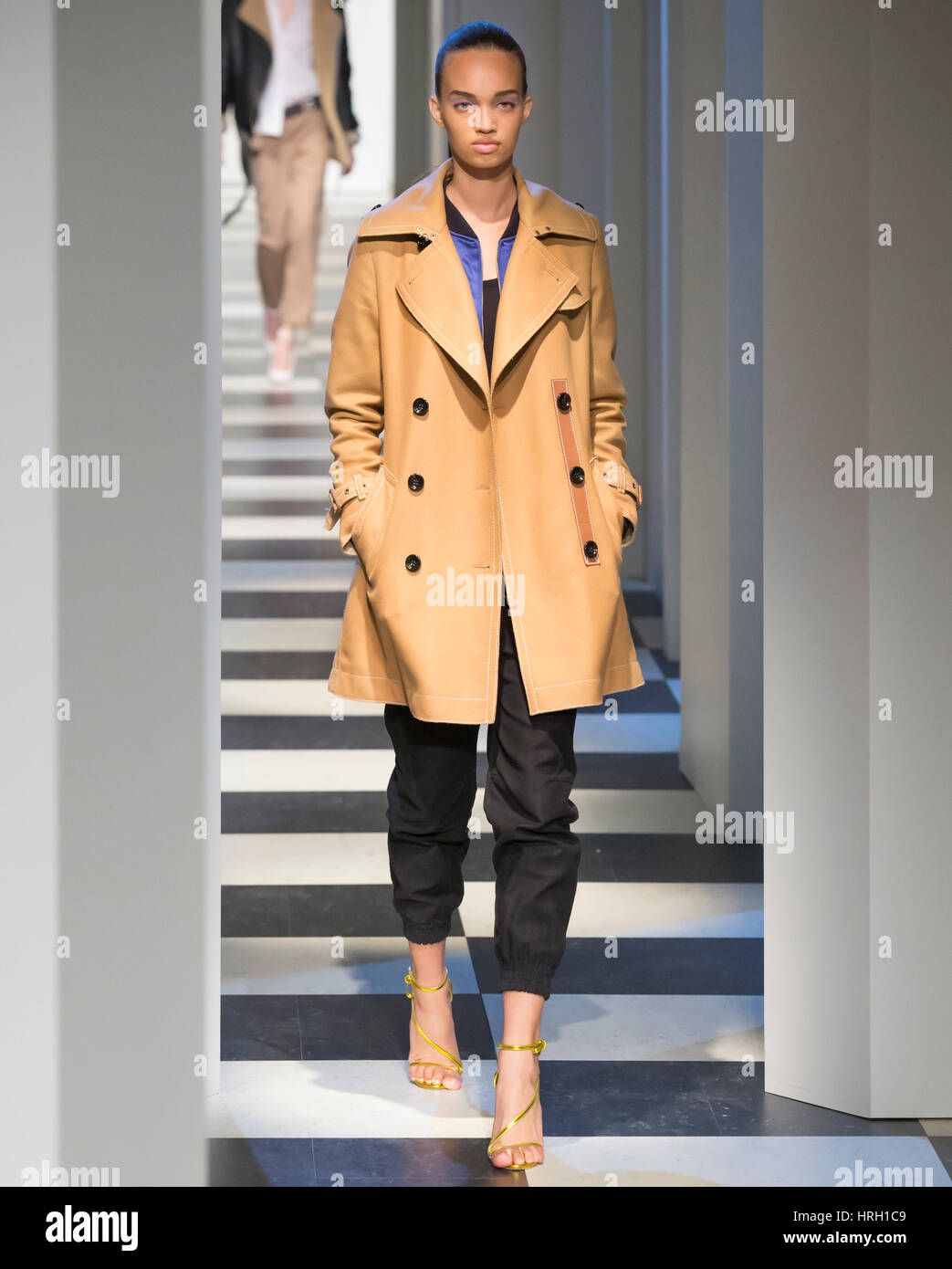 NEW YORK, NY - FEBRUARY 13, 2017: Ellen Rosa walks the runway during rehearsal for the Oscar de la Renta Fall Winter 2017 fashion show during New York Stock Photo
