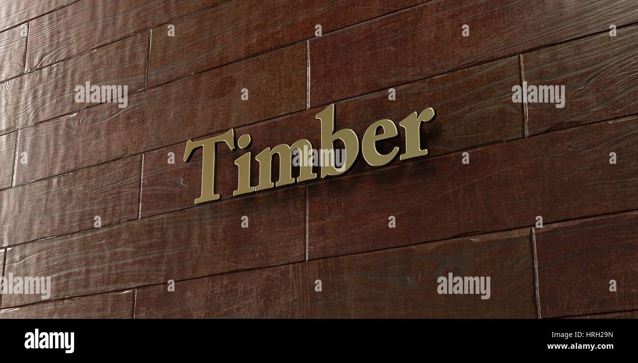 Timber - Bronze plaque mounted on maple wood wall  - 3D rendered royalty free stock picture. This image can be used for an online website banner ad or Stock Photo