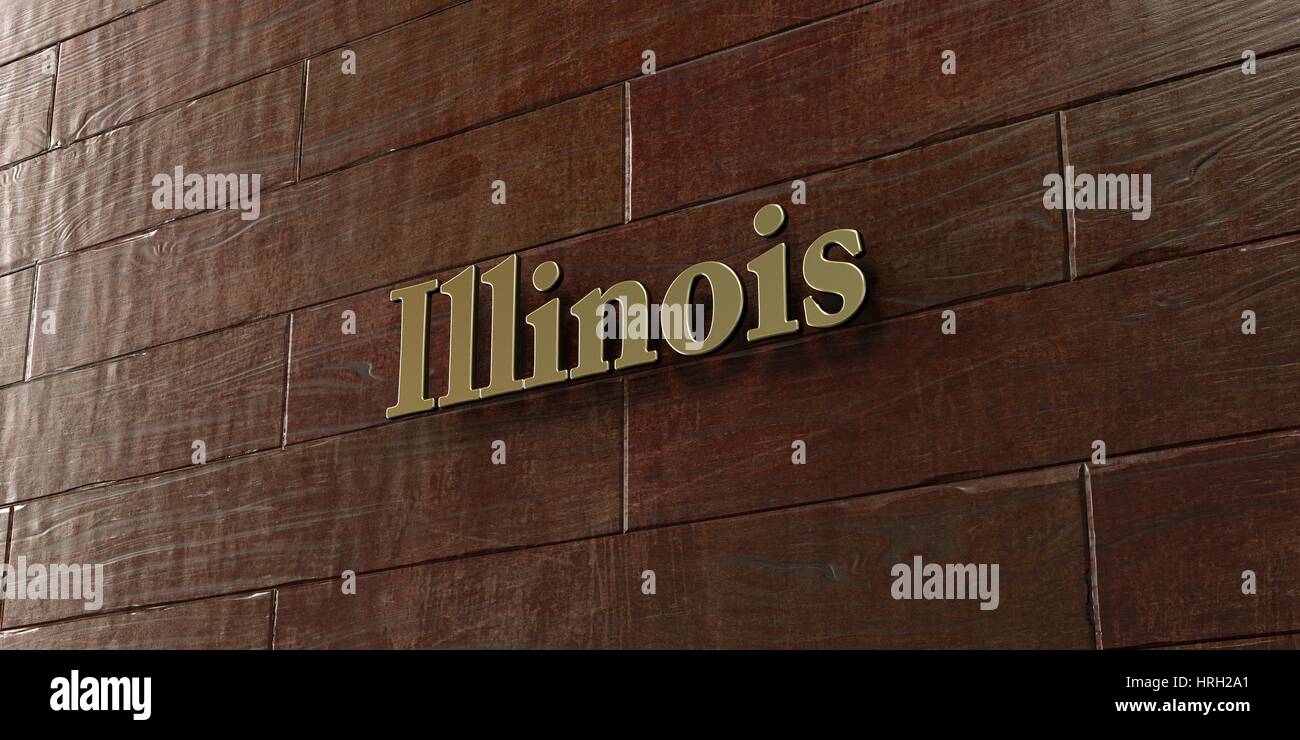 Illinois - Bronze plaque mounted on maple wood wall  - 3D rendered royalty free stock picture. This image can be used for an online website banner ad  Stock Photo