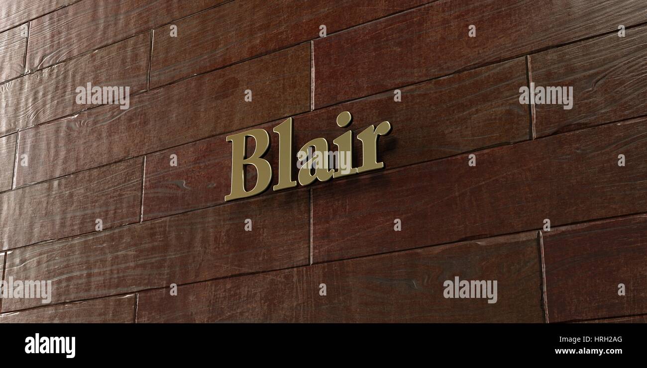 Blair - Bronze plaque mounted on maple wood wall  - 3D rendered royalty free stock picture. This image can be used for an online website banner ad or  Stock Photo