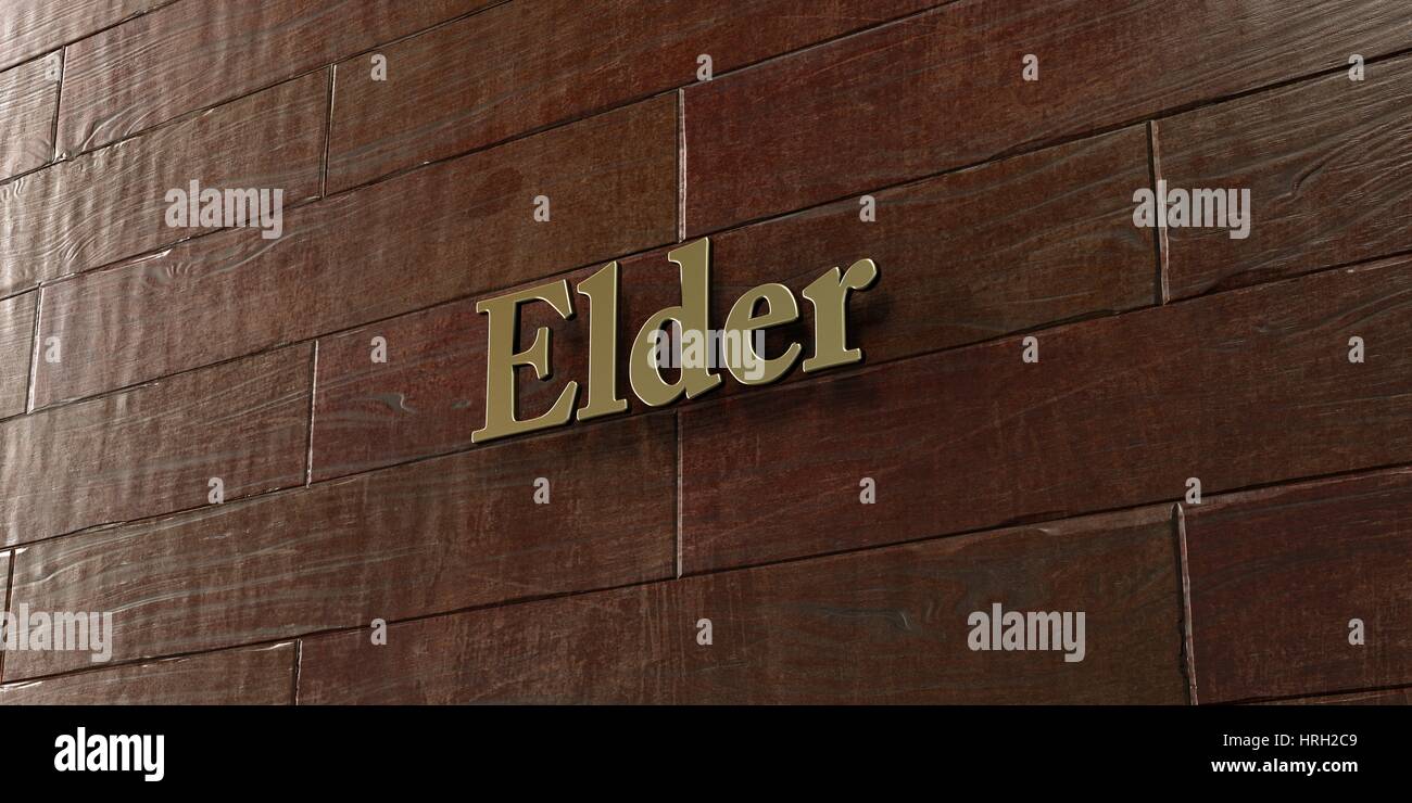 Elder - Bronze plaque mounted on maple wood wall  - 3D rendered royalty free stock picture. This image can be used for an online website banner ad or  Stock Photo