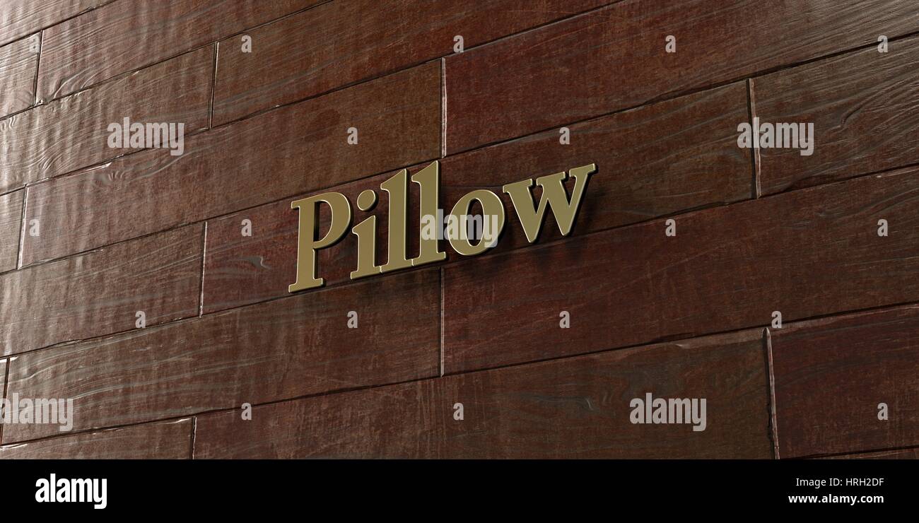 Pillow - Bronze plaque mounted on maple wood wall  - 3D rendered royalty free stock picture. This image can be used for an online website banner ad or Stock Photo