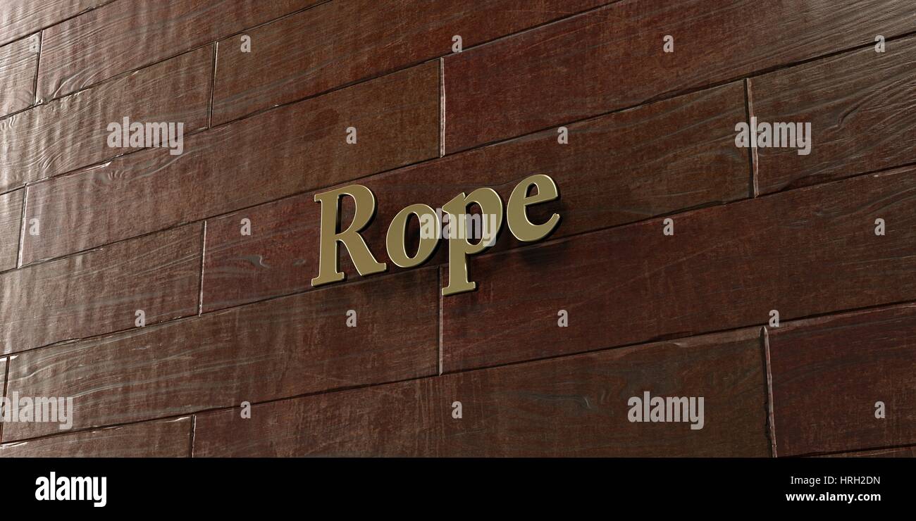 Rope - Bronze plaque mounted on maple wood wall  - 3D rendered royalty free stock picture. This image can be used for an online website banner ad or a Stock Photo