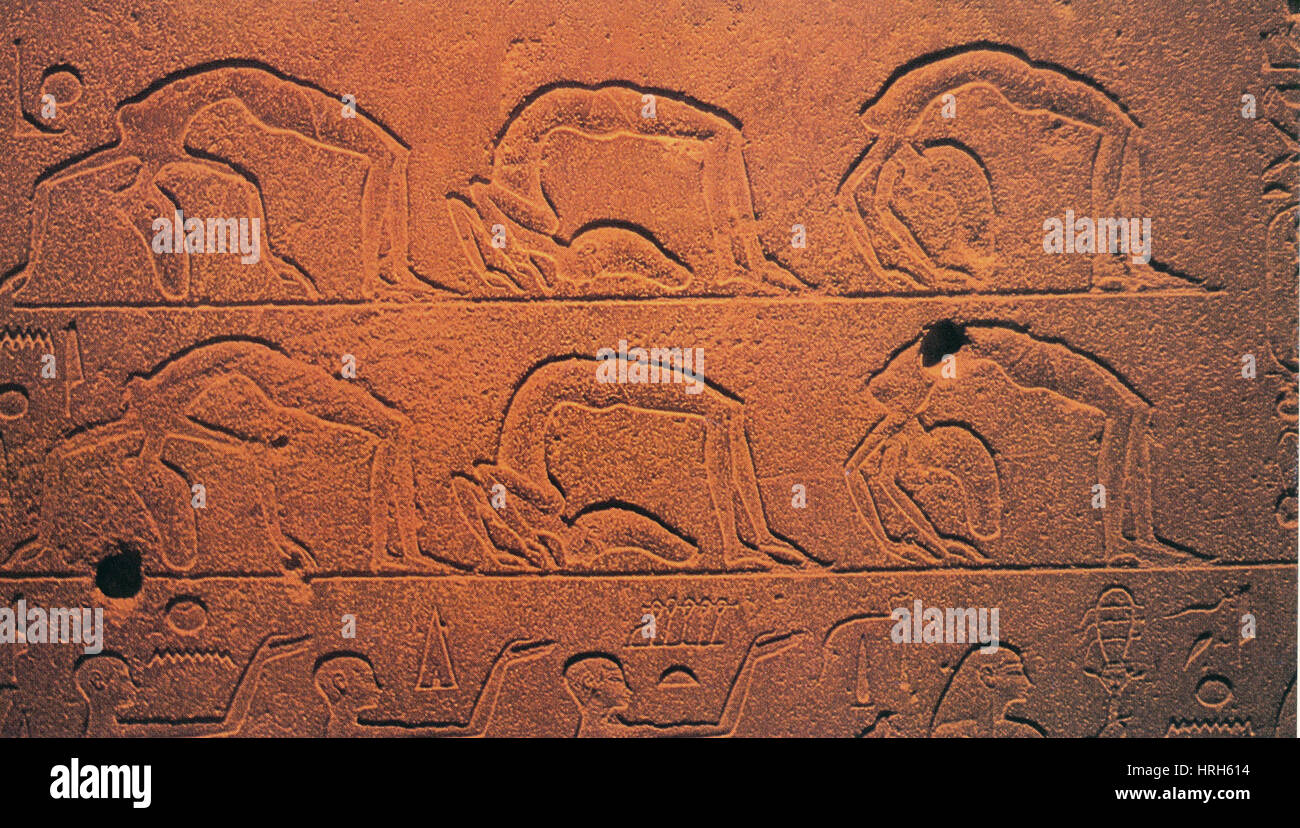 Hieroglyphics of Acrobats Stock Photo