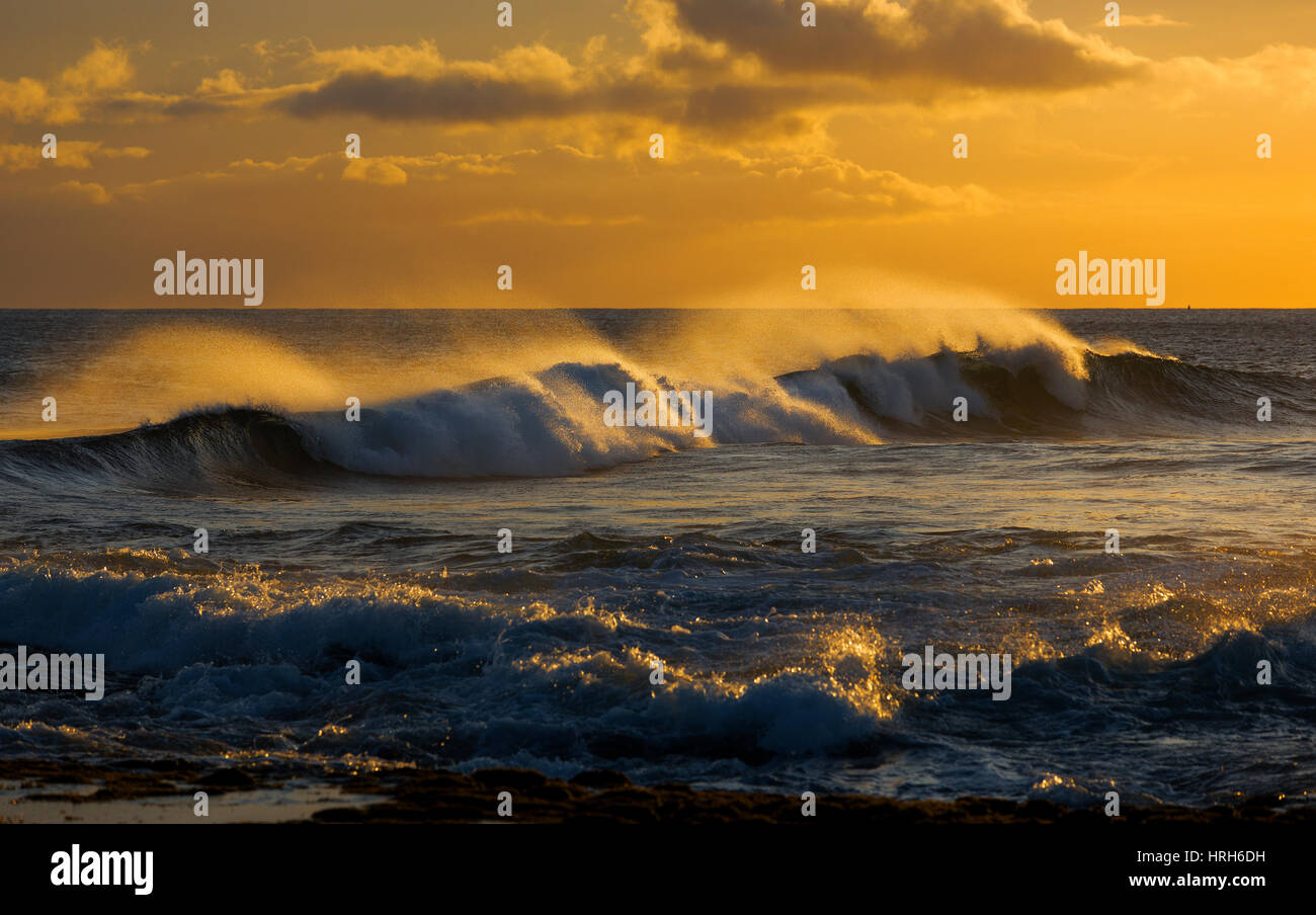 Gorgeous beach in hawaii waves hi-res stock photography and images - Alamy