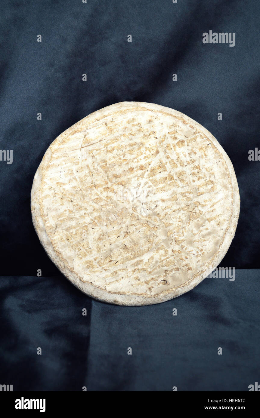 French gastronomy, Saint Nectaire cheese. Auvergne region Stock Photo