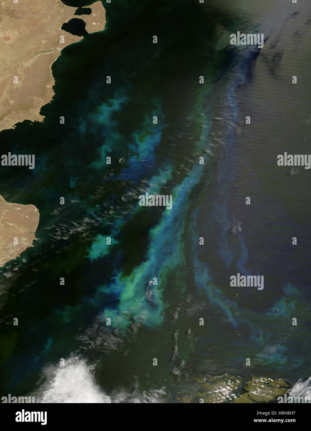 argentina football players legends