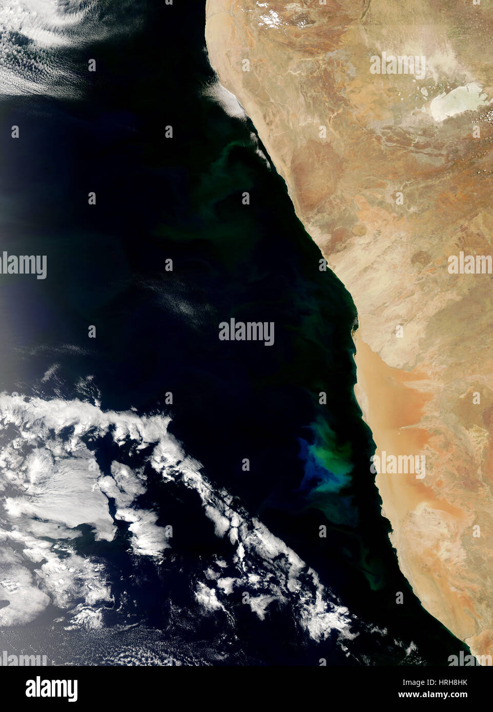 Phytoplankton bloom hi-res stock photography and images - Alamy