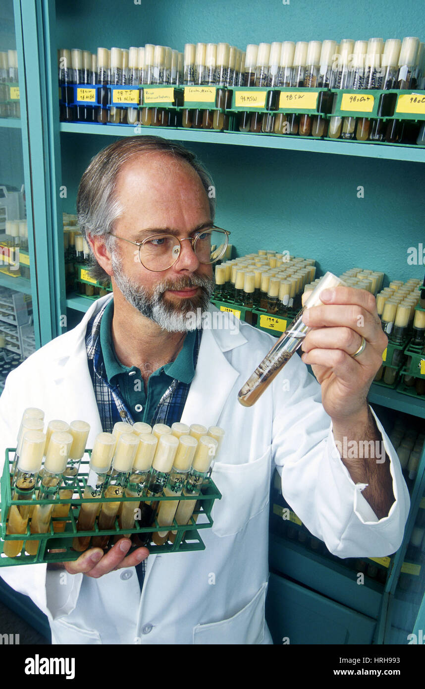 Plant Pathologist Stock Photo Alamy
