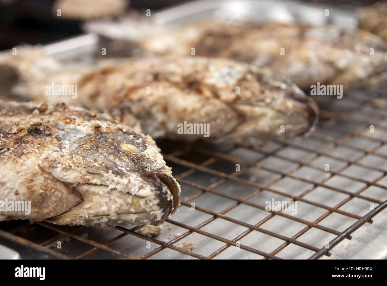 Speisefische High Resolution Stock Photography and Images - Alamy