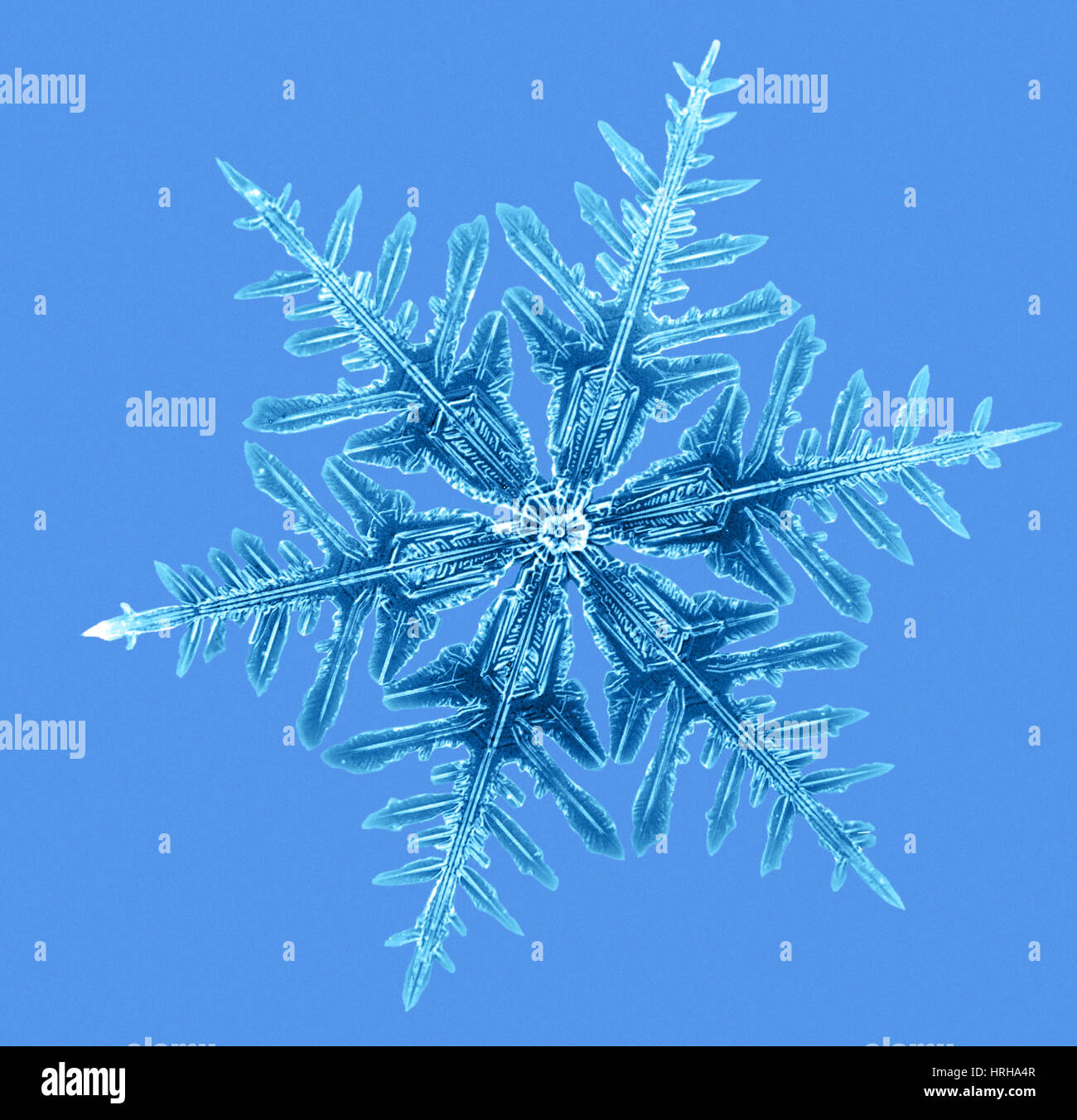 Snowflake Stock Photo - Alamy