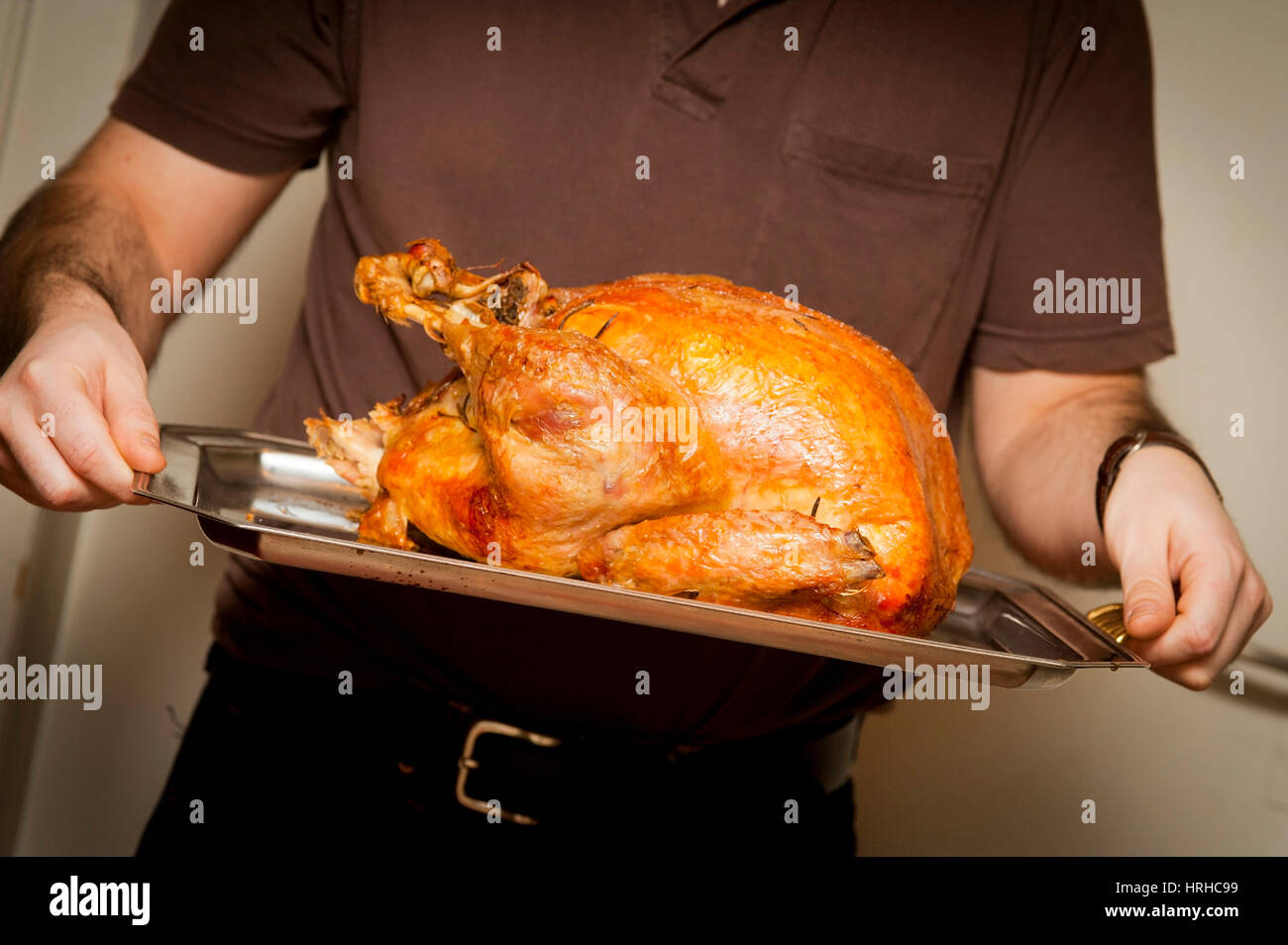 Truthahn hi-res stock photography and images - Alamy